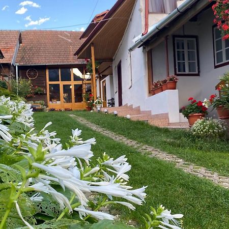 Casa Kelemen Iren Hotel Rimetea Exterior foto