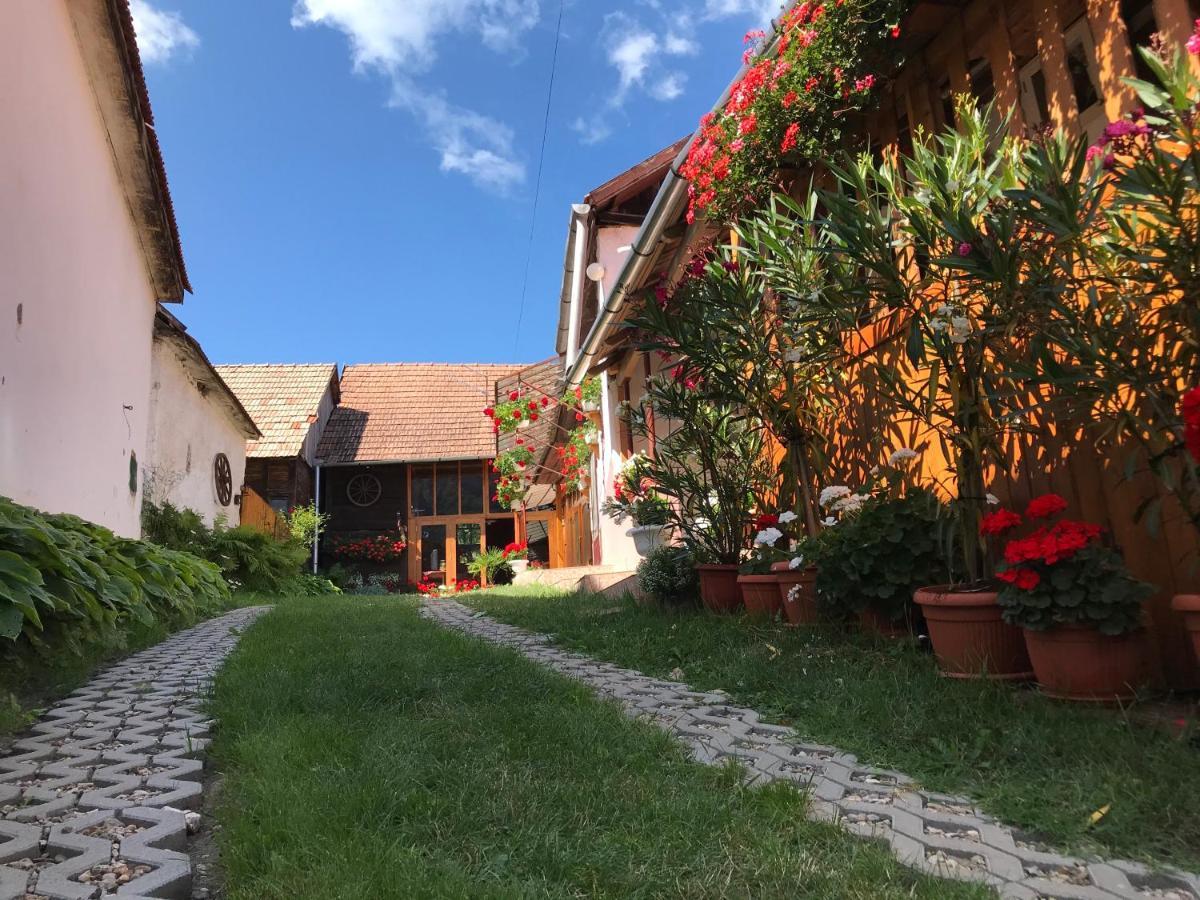 Casa Kelemen Iren Hotel Rimetea Exterior foto