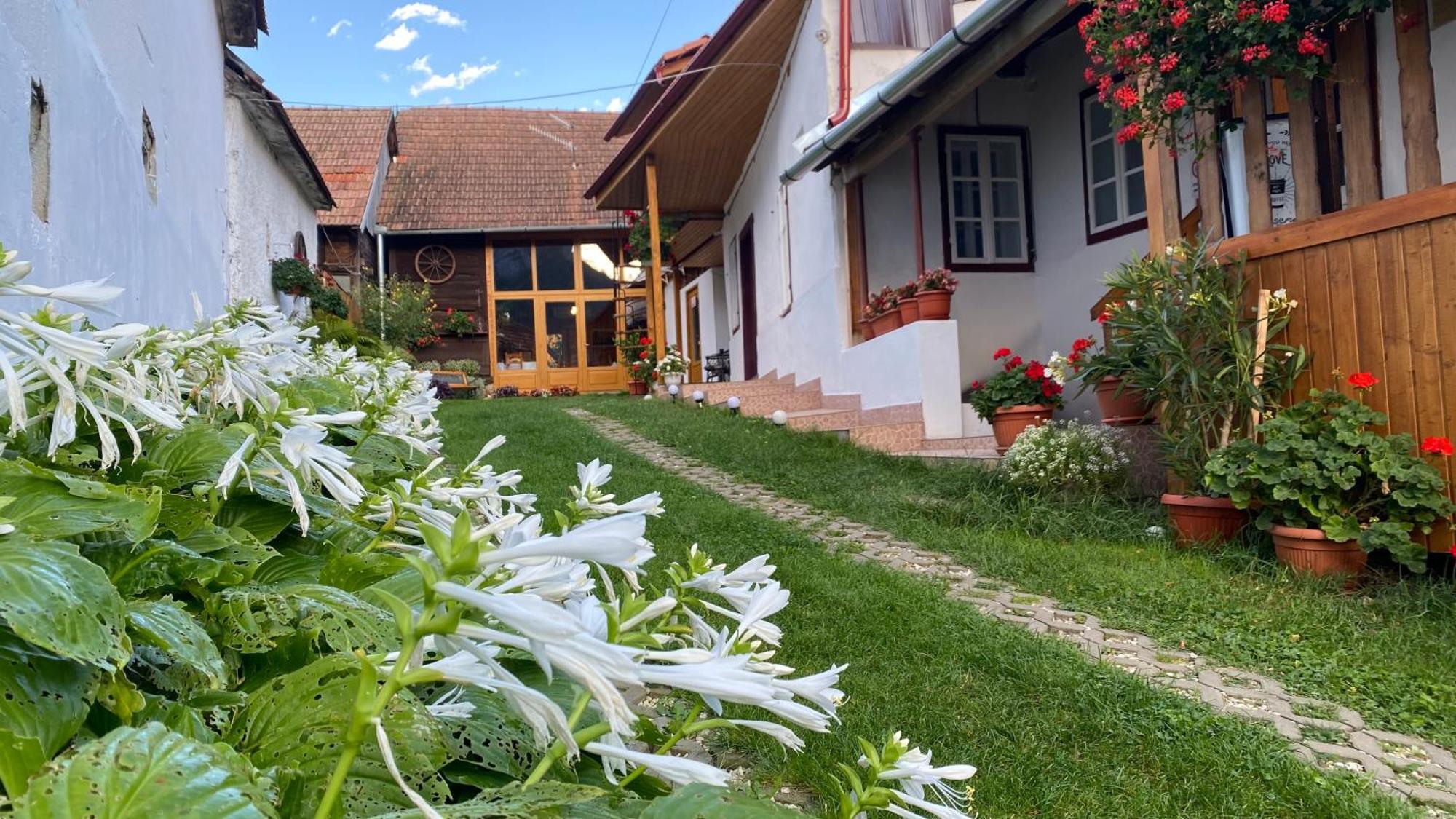 Casa Kelemen Iren Hotel Rimetea Exterior foto